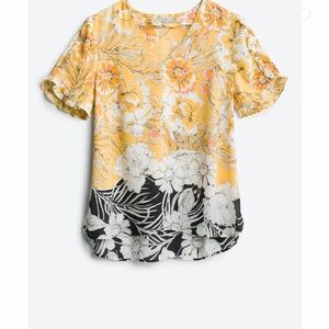 Daniel Rainn Ello Ruffle Sleeve Detail Blouse